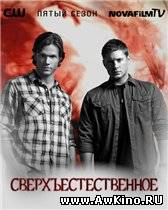 Сверхъестественное / Supernatural (DVDRip, HDTVRip) для КПК и смартфонов-скачать фильмы для смартфона бесплатно, без регистрации, одним файлом