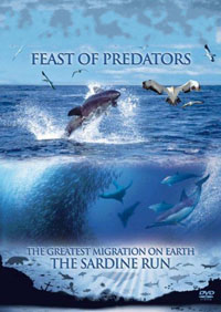 Пир хищников / Feast of Predators (2004) [SATRip] для КПК и смартфона-скачать фильмы для смартфона бесплатно, без регистрации, одним файлом