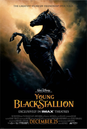 Рожденный в песках / The Young Black Stallion (2003) DVDRip  для КПК и смартфонов-скачать фильмы для смартфона бесплатно, без регистрации, одним файлом