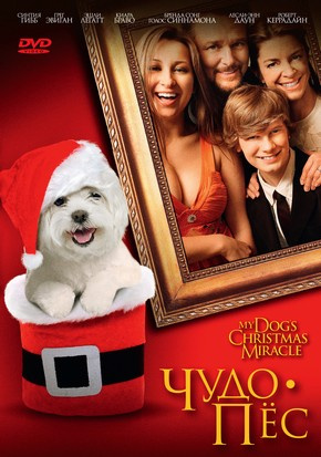 Чудо-пёс / My Dogs Christmas Miracle (2011) DVDRip | Лицензия  для КПК и смартфонов-скачать фильмы для смартфона бесплатно, без регистрации, одним файлом