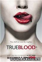 True Blood / Настоящая кровь Сезоны 1-2 (DVDRip, HDTVRip) для КПК и смартфона-скачать фильмы для смартфона бесплатно, без регистрации, одним файлом